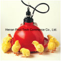 PE Material Automático Plasson Chicken Drinker Equipamento